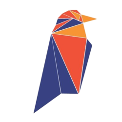 Logo kryptowaluty Ravencoin