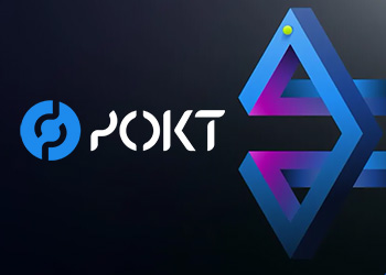 Pocket Network logo big