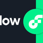 FLOW logo big