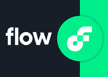 FLOW logo big