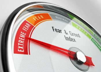 Crypto fear & greed indeks duży