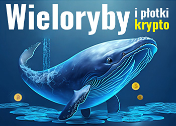 Krewetka rekin wieloryb kryptowalut OPEN