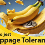 Co to jest slippage tolerance BIG