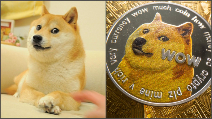 Czy Dogecoin jest lepszy niż Bitcoin