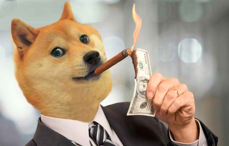 Dogecoin kontra Shibainu