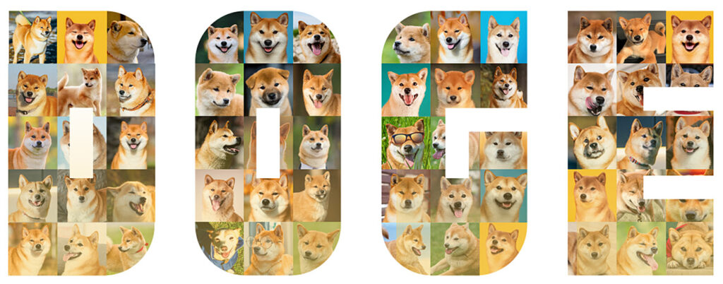 Only DOGE