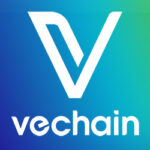 Co to jest VeChain BIG