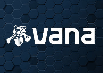 Co to jest Vana BIG