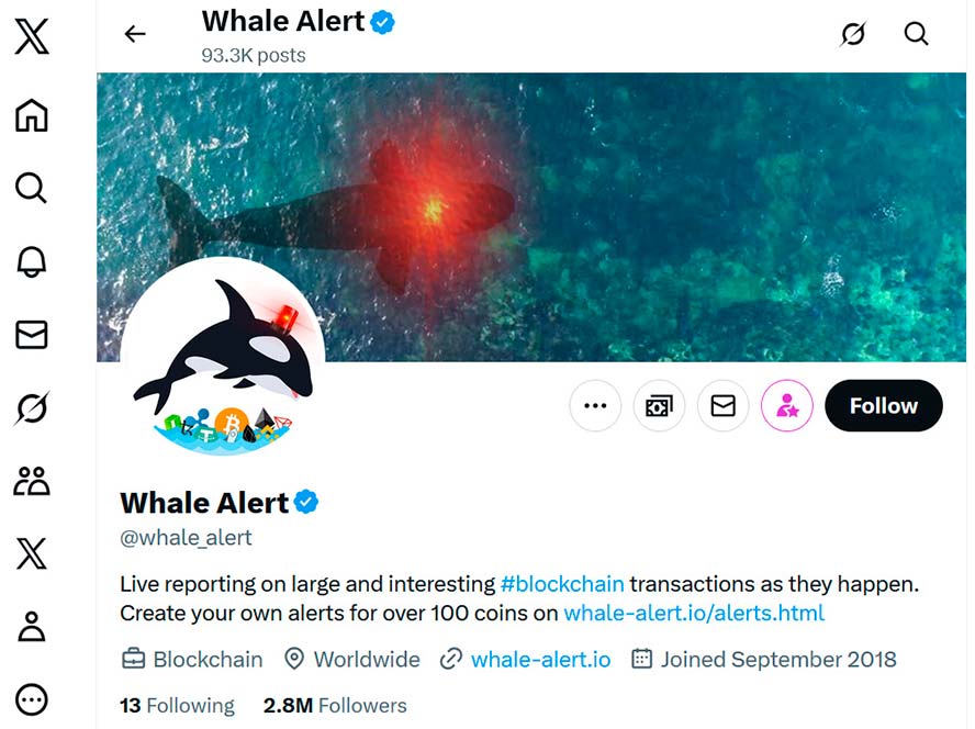 Crash a Whale Alert