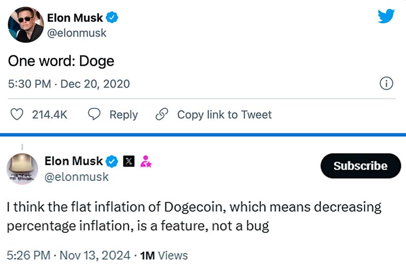 DOGE Elon Musk