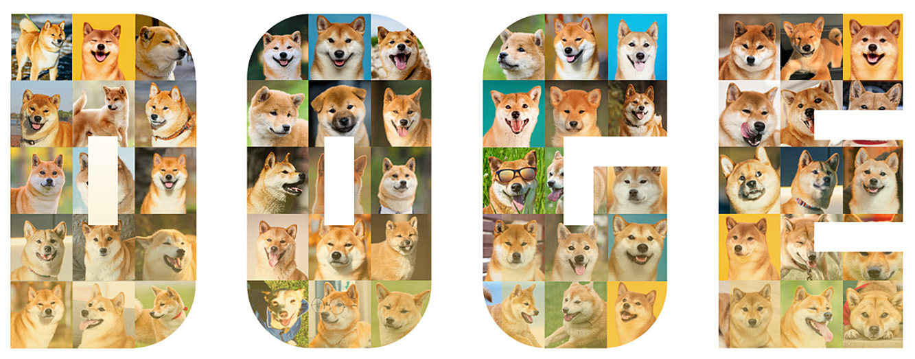Kryptowaluta DOGE