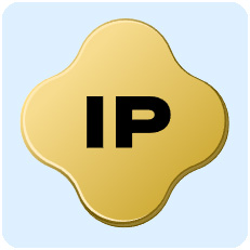 Story (IP) co to SML