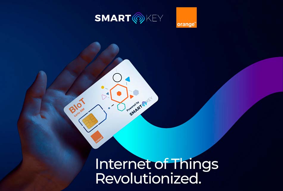 Tokeny krypto polska Skey