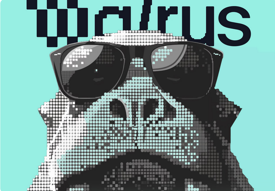 SUI co to jest Walrus