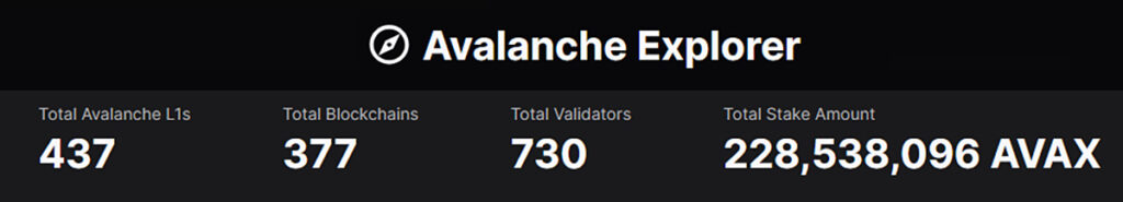 podsieci Avalanche
