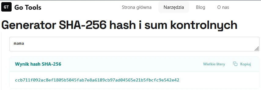 Technologia blockchain SHA 256